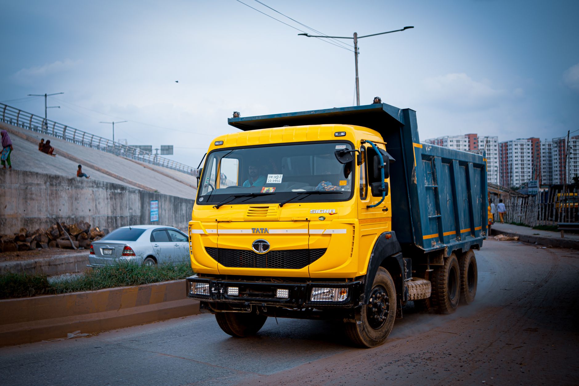 Tata reappointment controversy
